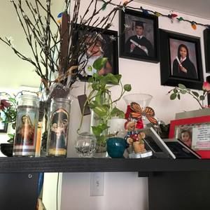 Meet your Posher, Jonar